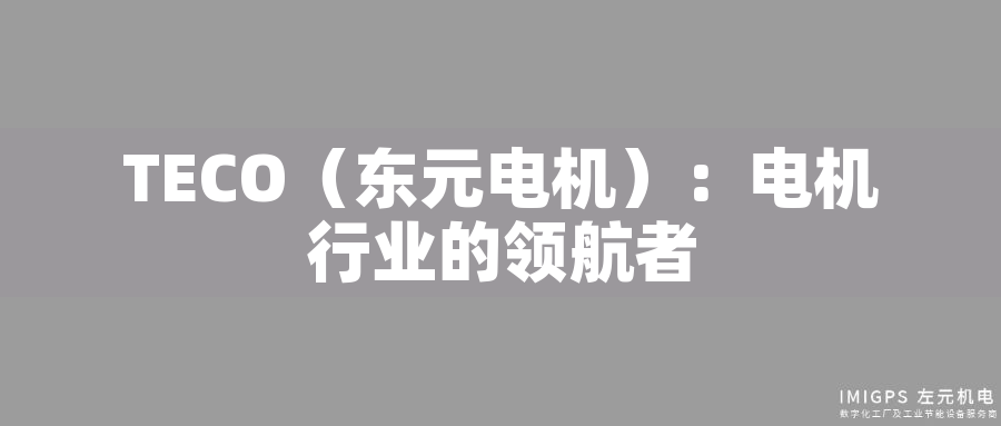 TECO（東元電機）：電機行業的領航者