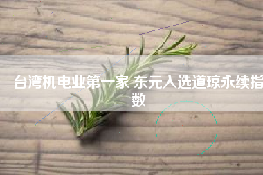 臺灣機電業第一家 東元入選道瓊永續指數