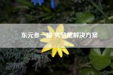 東元參一腳 秀節能解決方案