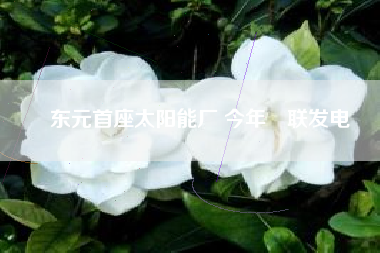東元首座太陽能廠 今年併聯發電