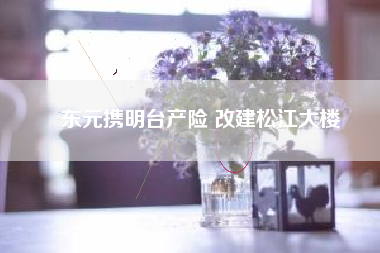 東元攜明臺產險 改建松江大樓