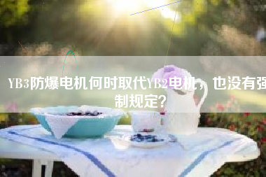 YB3防爆電機何時取代YB2電機，也沒有強制規定？