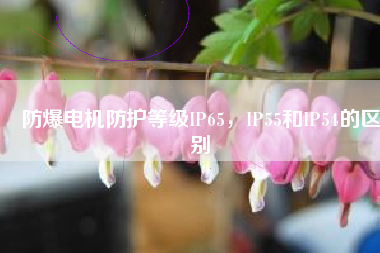 防爆電機防護等級IP65，IP55和IP54的區別