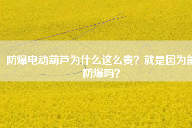 防爆電動葫蘆為什么這么貴？就是因為能防爆嗎？