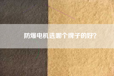 防爆電機選哪個牌子的好？