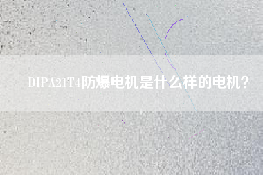 DIPA21T4防爆電機是什么樣的電機？
